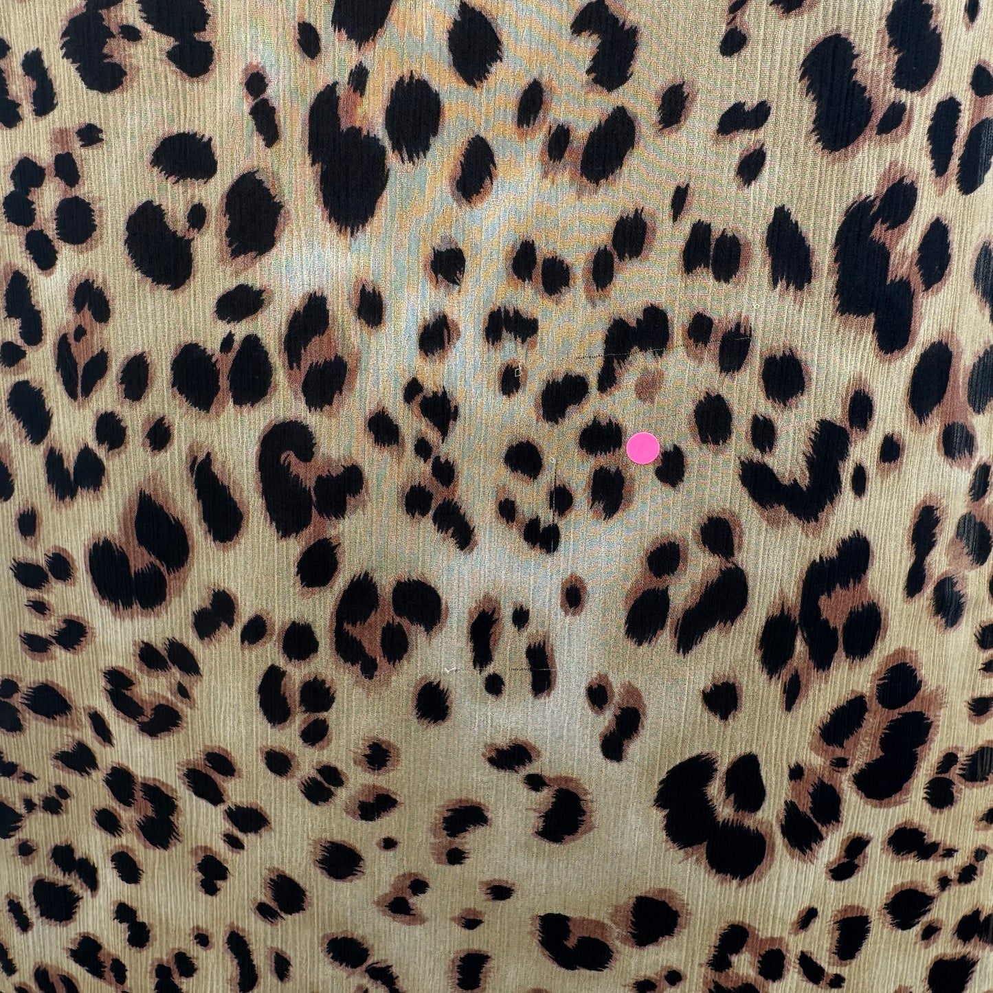AGB Women’s Leopard Print Sleeveless Blouse Size M Floral Accent